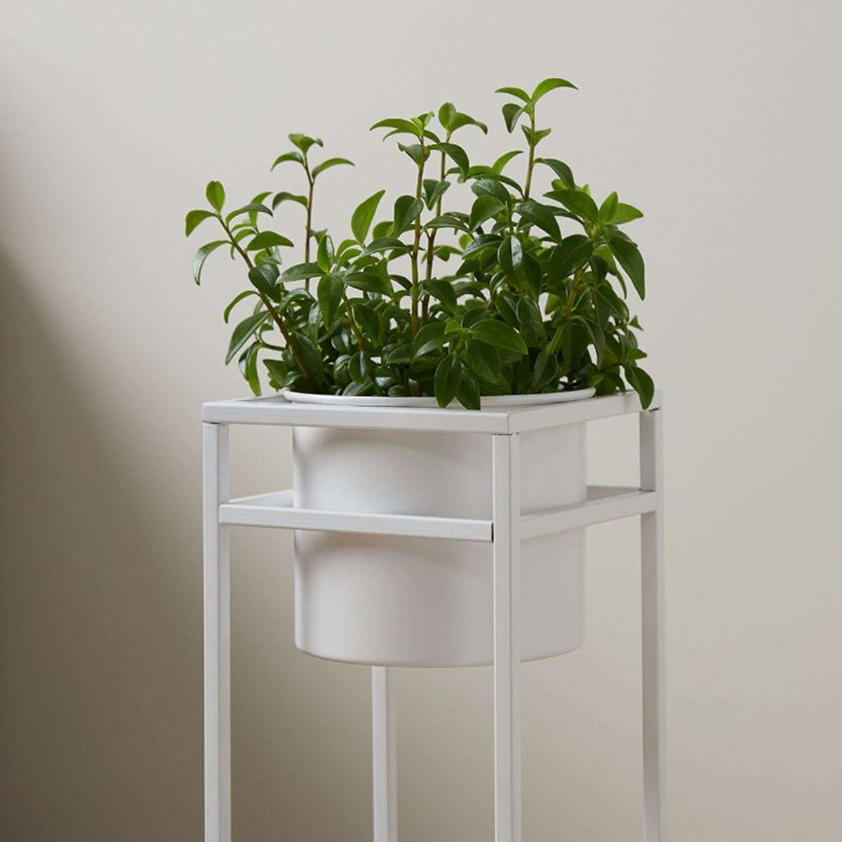 Brent Metal Plant Stand White - Short - Mocka Australia